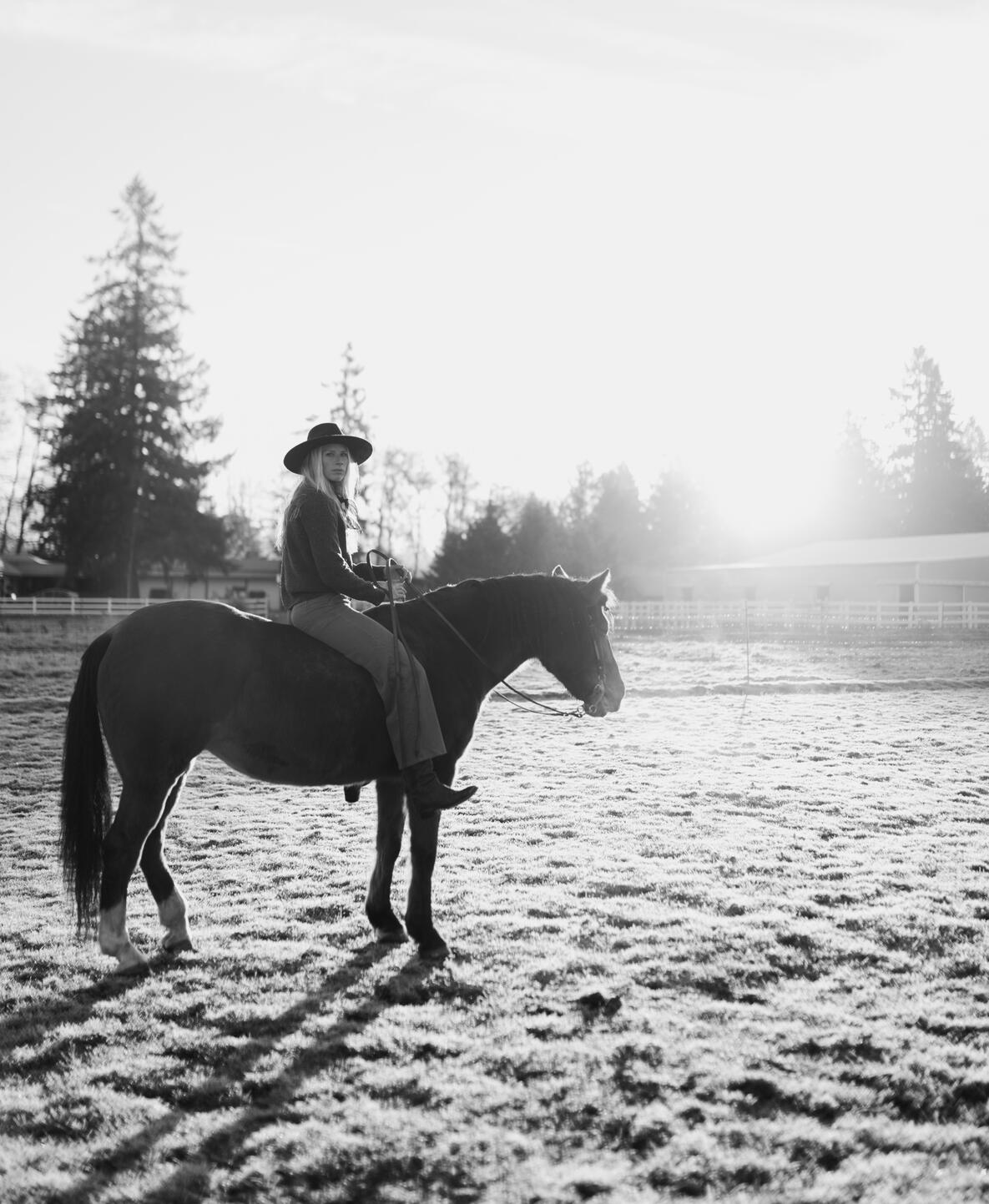 storywork coach storywork sessions trauma-informed coaching equine therapy equine storywork horse-guided healing women’s retreats healing retreats nervous system healing inner child healing embodied healing experiential healing outdoor therapy sessions nat